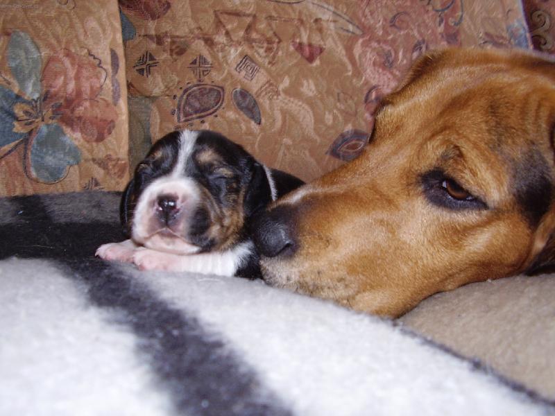 Foto: TO CHCE KLÍDEK LIDI