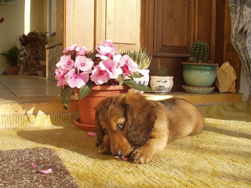 Foto: JARO-ÈAS MLÁÏÁTEK-HOLÈIÈKA