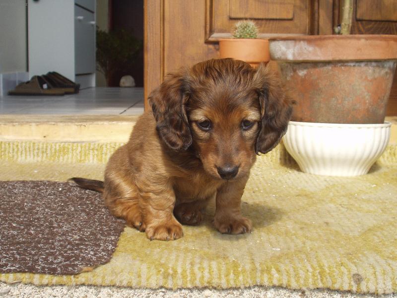 Foto: JARO-ÈAS MLÁÏÁTEK-KLUK JAK ŠPALÍÈEK