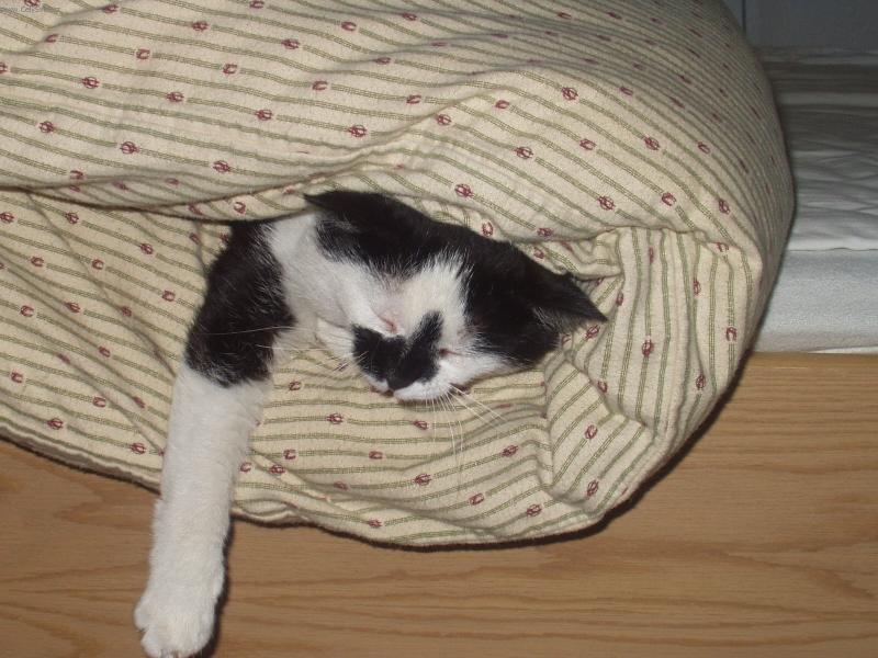 Foto: ČENDA-NEJLEPŠÍ POZICE V POSTELI