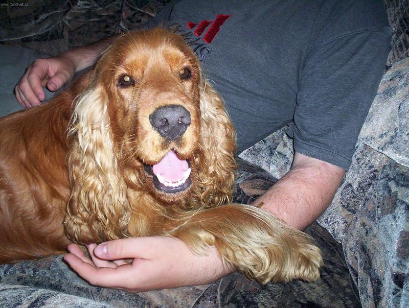 Foto: Keny-u pánečka je nejlíp