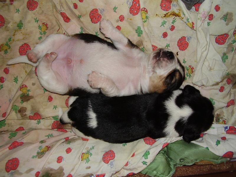 Foto: SÉGRA,MUSÍŠ SE NA MĚ TAK TLAČIT?-BÍGLÍCI PO BAŠTĚ