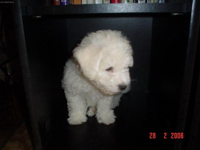 Foto: VICKI-kde to jsem .........