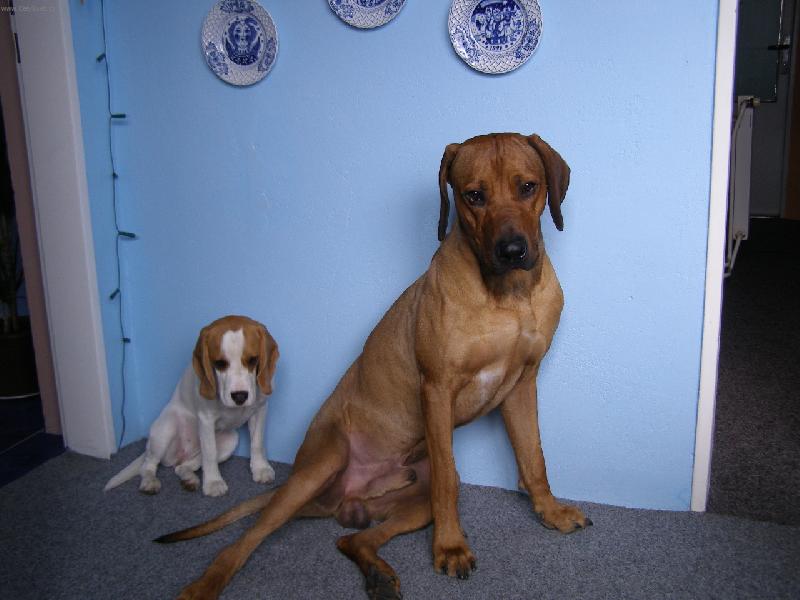 Foto: Sisinka s Neroušem