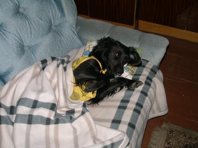 Foto: Roztomilý kukuč Ketynky