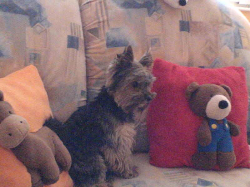 Foto: trhač-Artíček a jeho kámoši