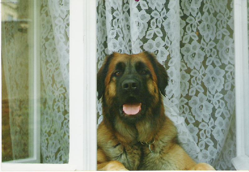 Foto: Bejbinka-..hurá..jaro je tady..