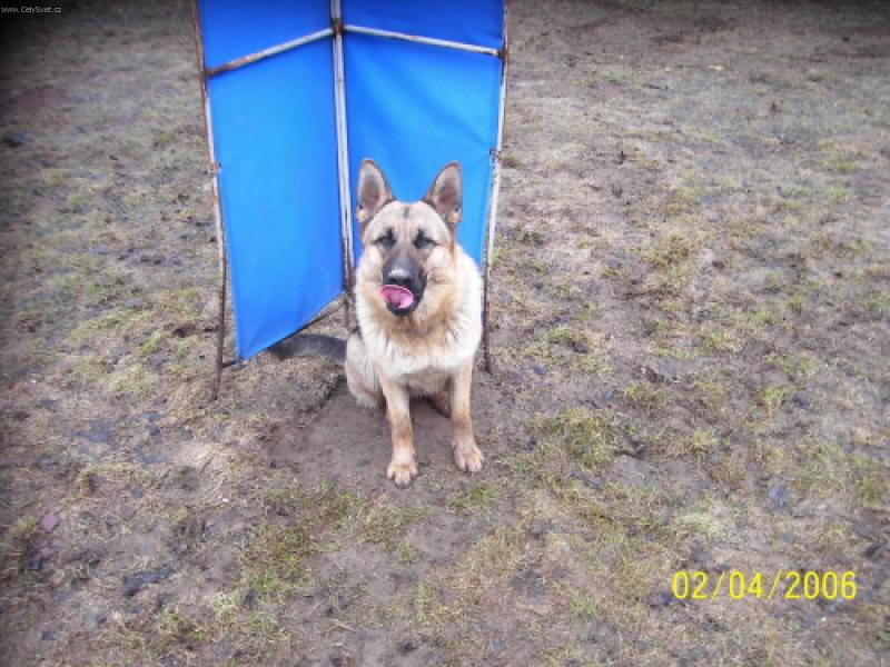 Foto: Besi se ,,žvýkačkou,,-nejradši má hubba bubba