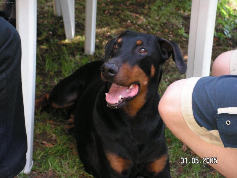 Foto: Kim-Jak dlouho ještě asi budu čekat až něco spadne?