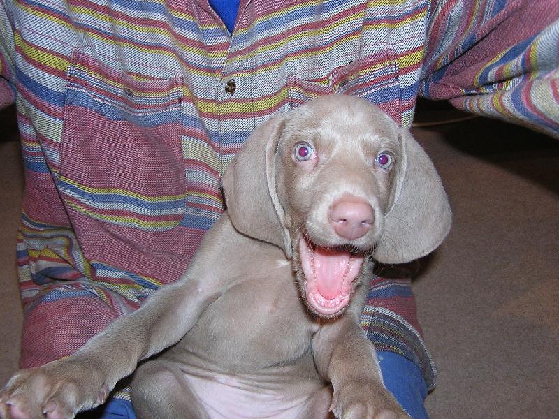 Foto: Jo, tak ten vtip byl fakt dobrej...