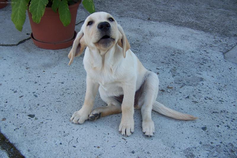 Foto: Anetka-takhle jsem k Vám přišla