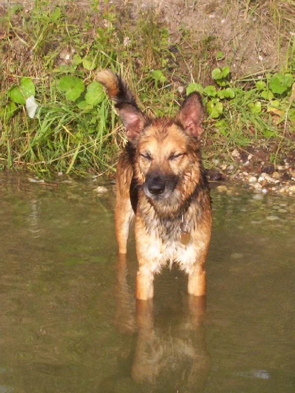 Foto: U vody to prý nejlépe opaluje...-Koupání na Proboáku