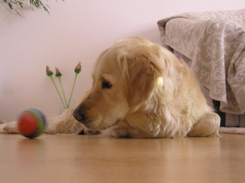 Foto: Mám ho chytit?