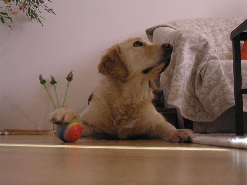 Foto: A teď ho chceš vrátit ?