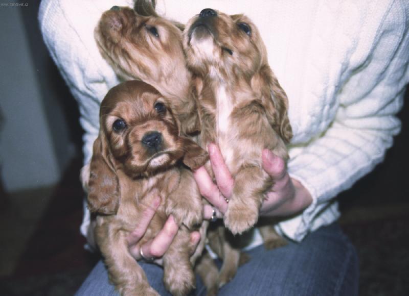 Foto: Pohľad-Sme maličký