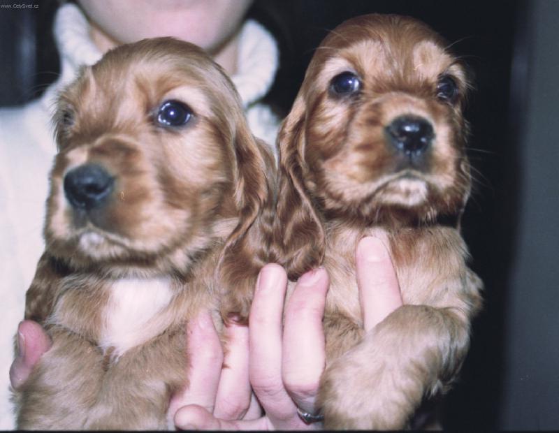 Foto: jajaj-naša radosť