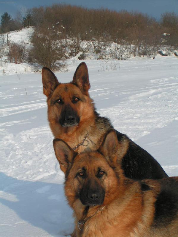 Foto: Modelky-naše zimné spomienky