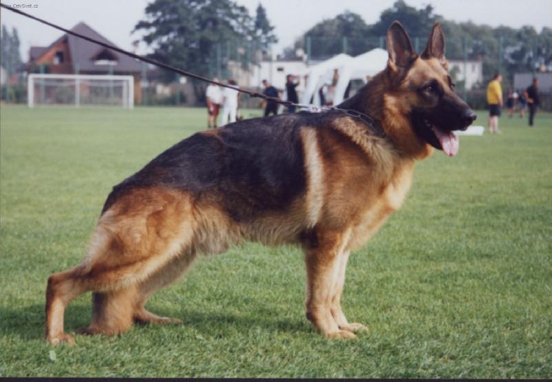 Foto: Fabio-Na výstave   :o)