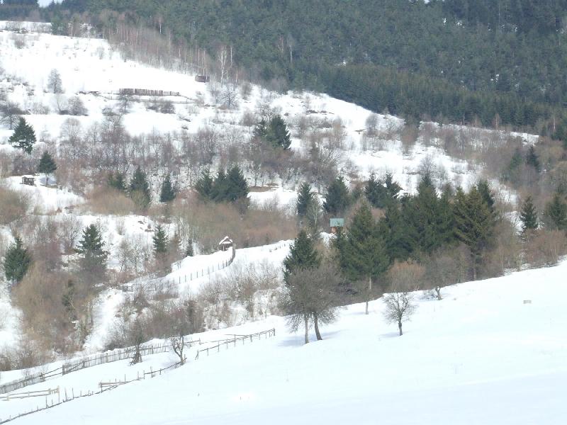 Foto: Kysucké Lazy-Panensá príroda