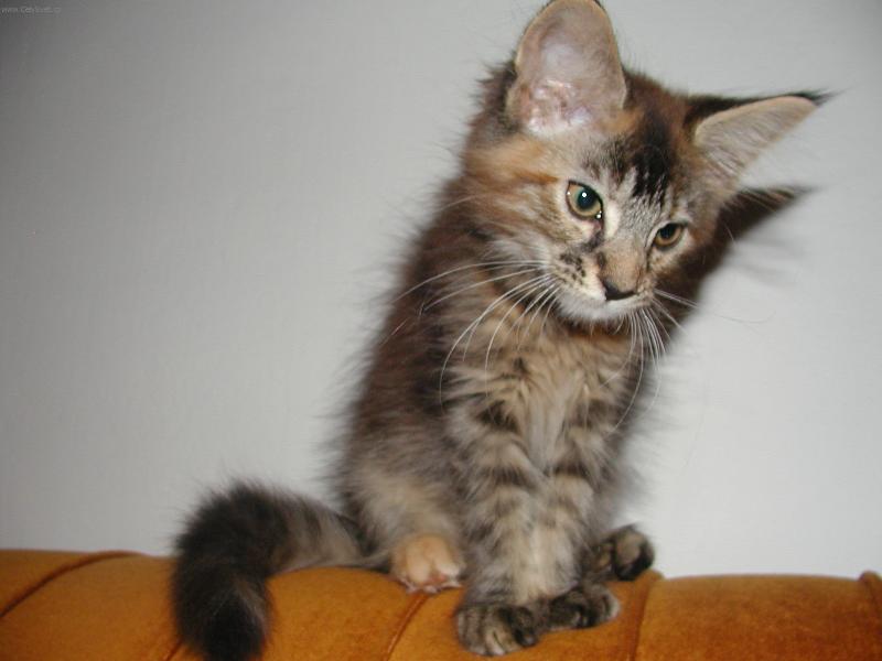 Foto: To jsem byla ještě miminko-Casha