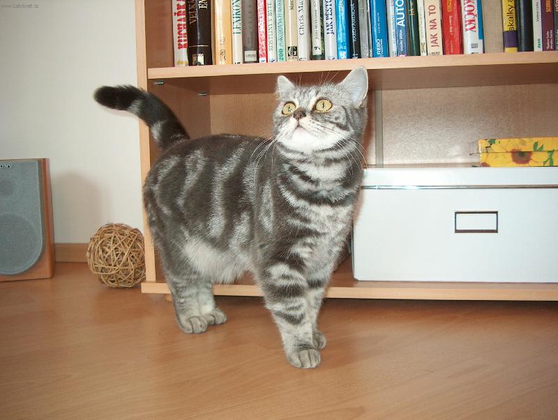 Foto: Copak se zase děje?-Dáda