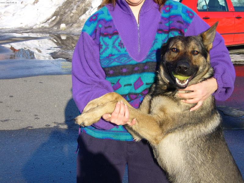 Foto: Erika Moravia Artex-jsem jako člověk heč