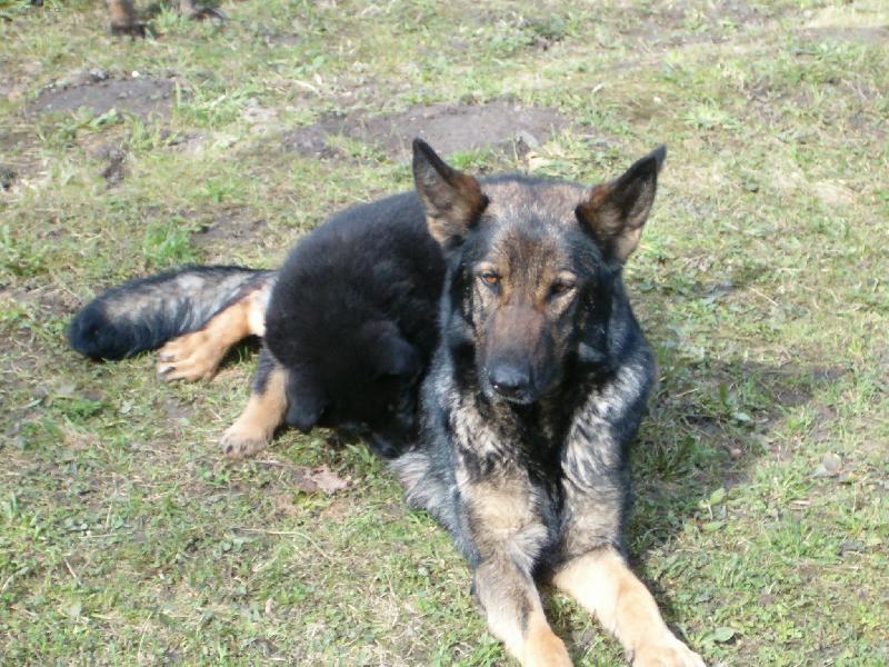 Foto: Já se na to mlíčko stejně dostanu!!!