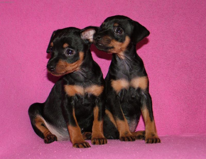 Foto: Elišky-Sestřičky