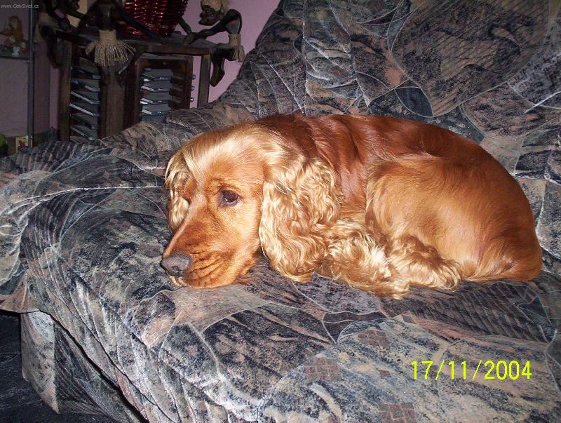 Foto: Keny-to mám ale trápení