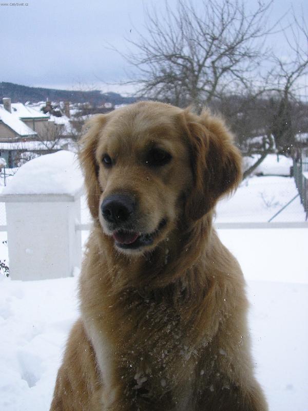 Foto: Ejminka v okně ....-No jo no,naše Ejma je taková hlídačka ...