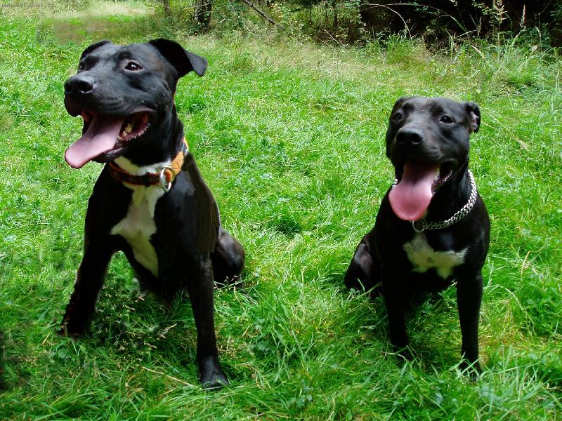 Foto: Táta s dcerou 1