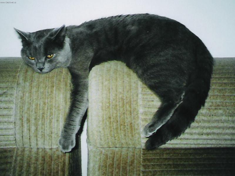 Foto: Leonardo Květ Vysočiny * cz-Nudím se...