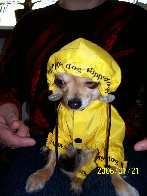 Foto: bude pršet?-Betty v pláštěnce