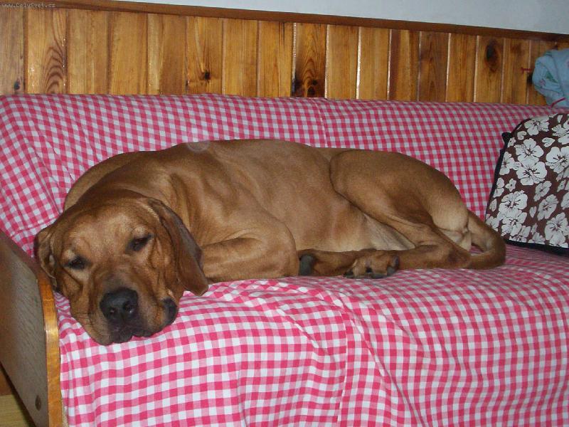 Foto: všude dobře, doma nejlépe!!!-spící \"muž\"