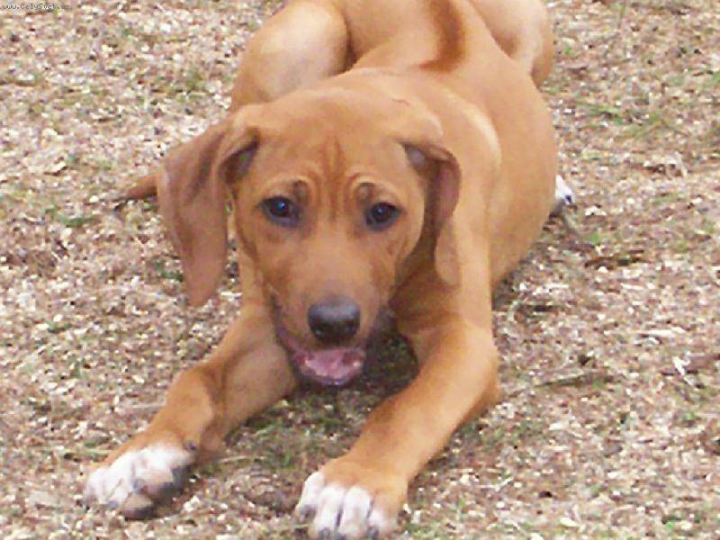 Foto: všechny zdravím-lážo plážo malého Engu