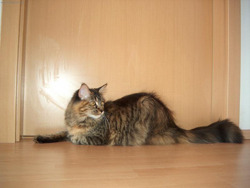 Foto: Casha-Tady hlídám já