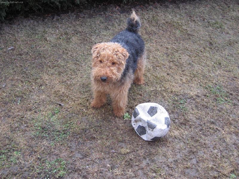 Foto: Folbalista-jsem připraven porazit davida Backhama!