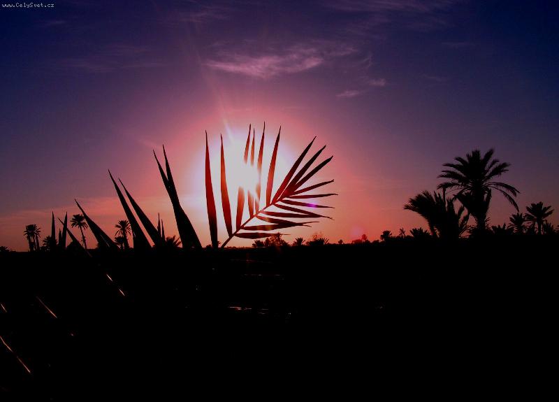 Foto: Západ slunce na poušti-Západ slunce - Djerba