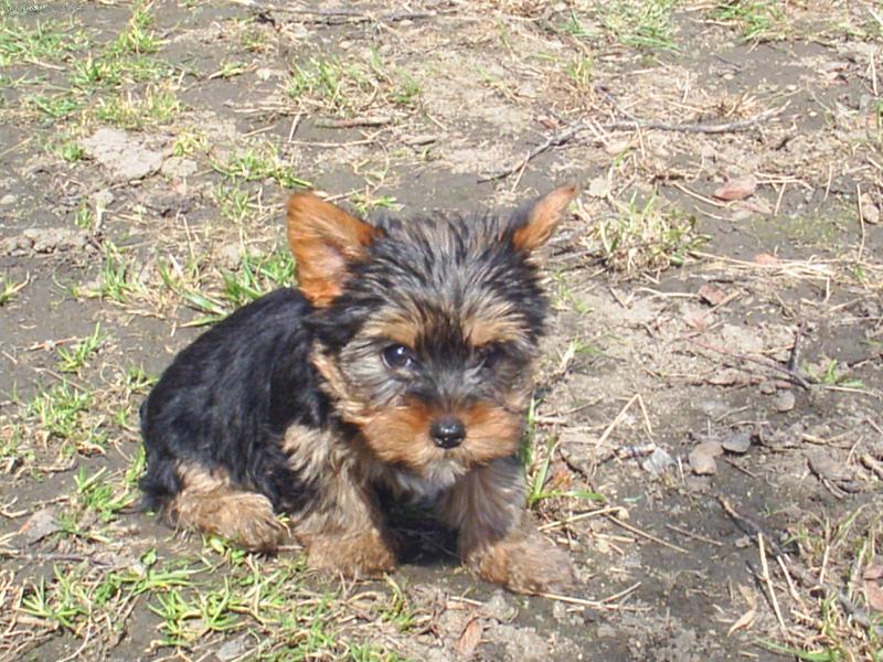 Foto: Nelinka-první den venku :)