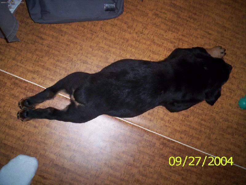 Foto: To jsem ale veliká :)