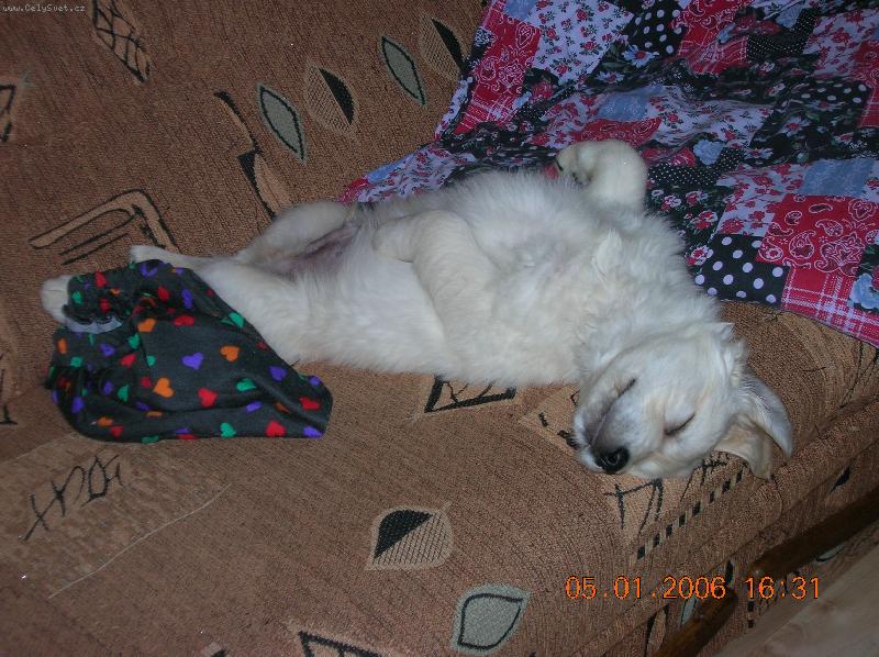 Foto: 8-mi týdenní mimino-po dobrém jídle kvalitní odpočinek