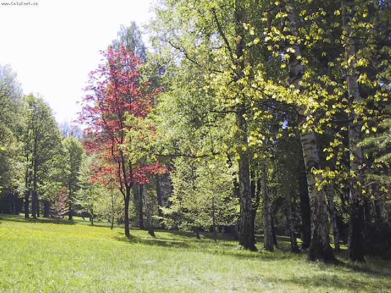 Foto: A jde se opalovat