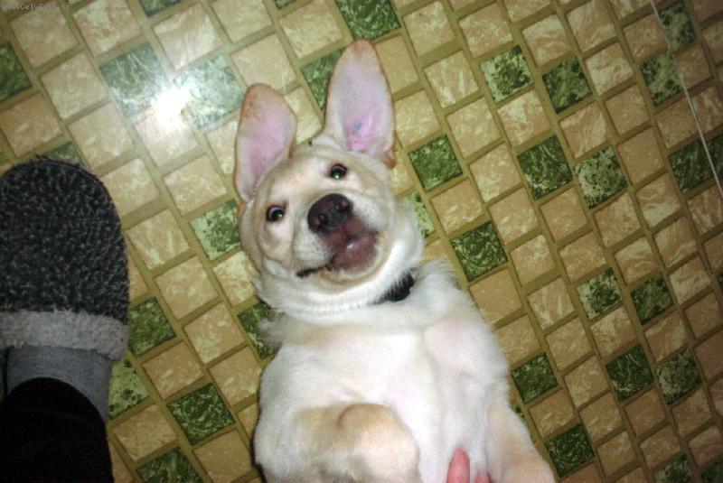 Foto: White-Co koukáš?