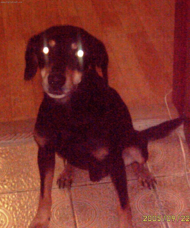 Foto: Rád si hraji na UFO :)-Rád si hraji na UFO :)