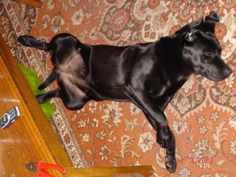 Foto: Nancy modelkou-Nancy pilně pózuje kdykoliv a kdekoliv