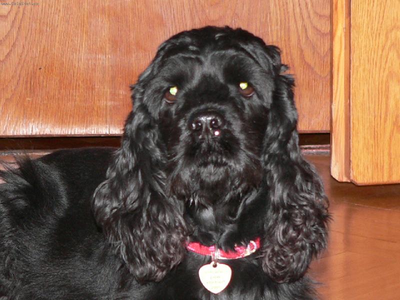 Foto: Amálka-Ta má kukadla