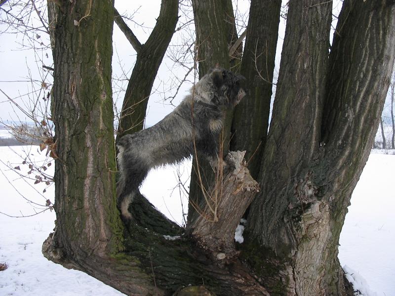 Foto: Aguška-hlídač