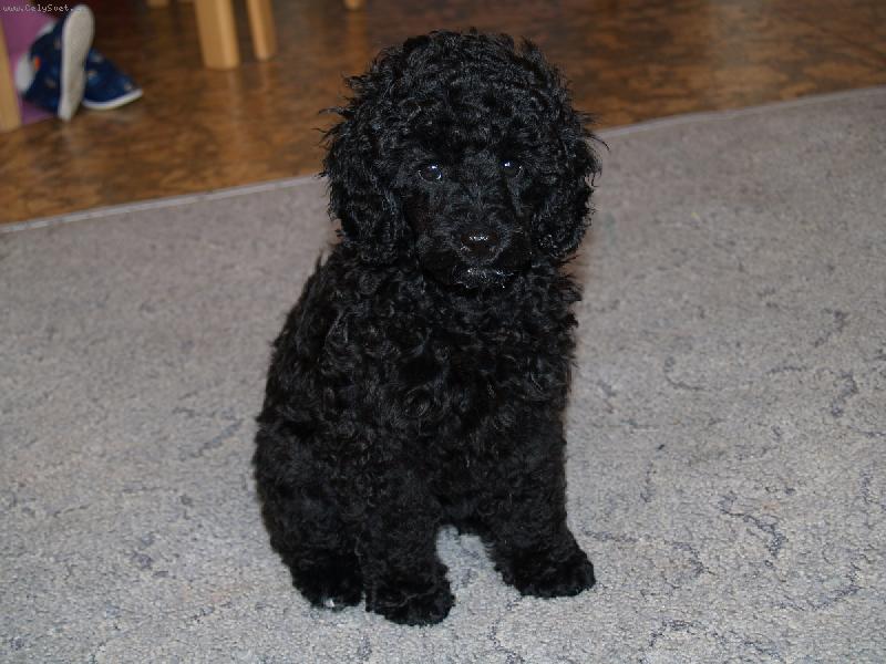 Foto: pozor vyletí ptáček...!!!