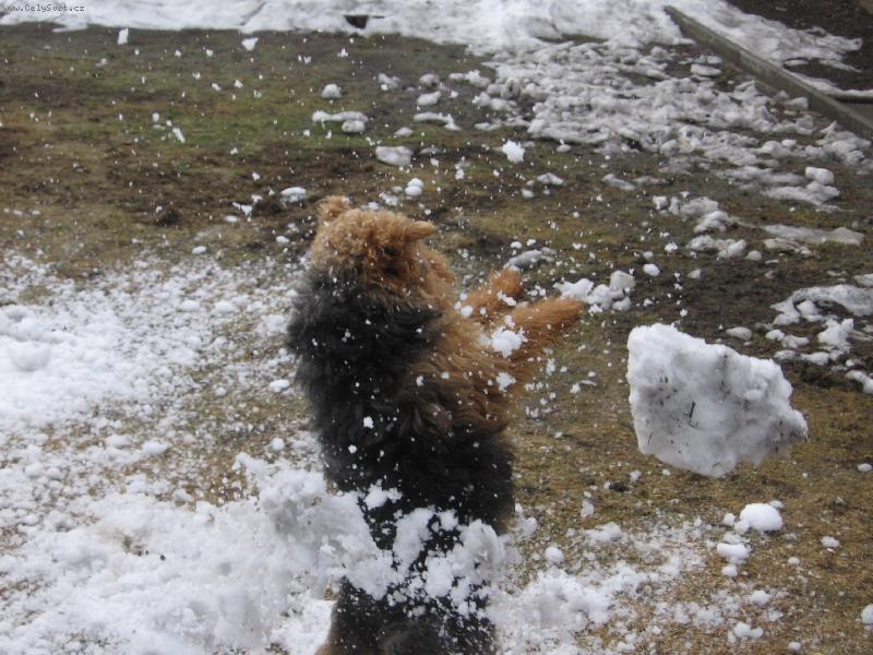 Foto: pozor pozor!!!-tady se vyučuje BOX!