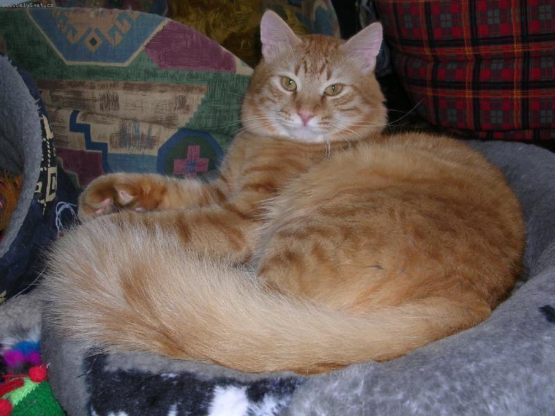 Foto: Nori-Chci se Ti líbit...